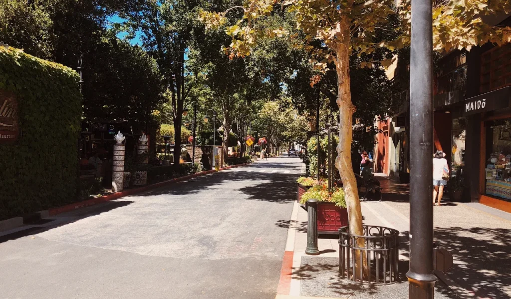 サンノゼの並木道、サンタナ・ロウ