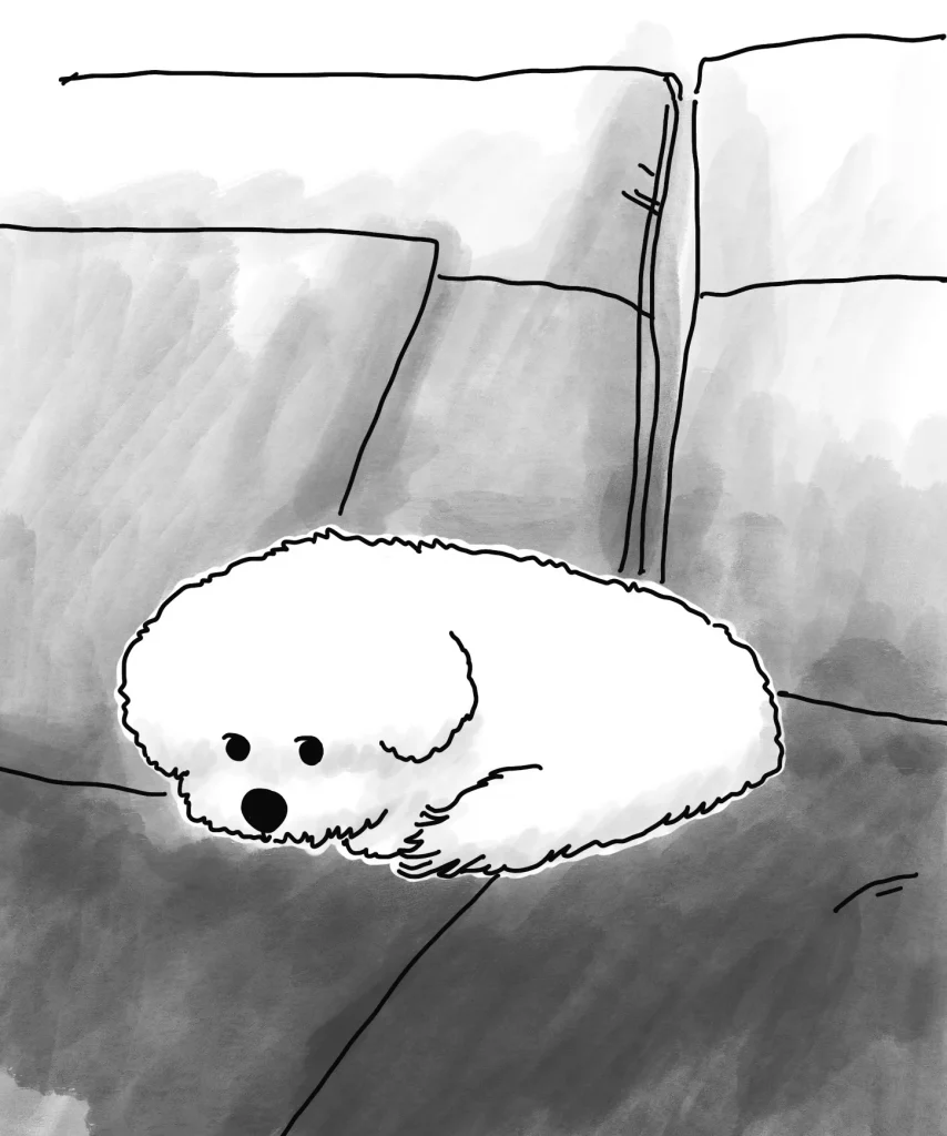 寝ちゃったかなと思ったら..