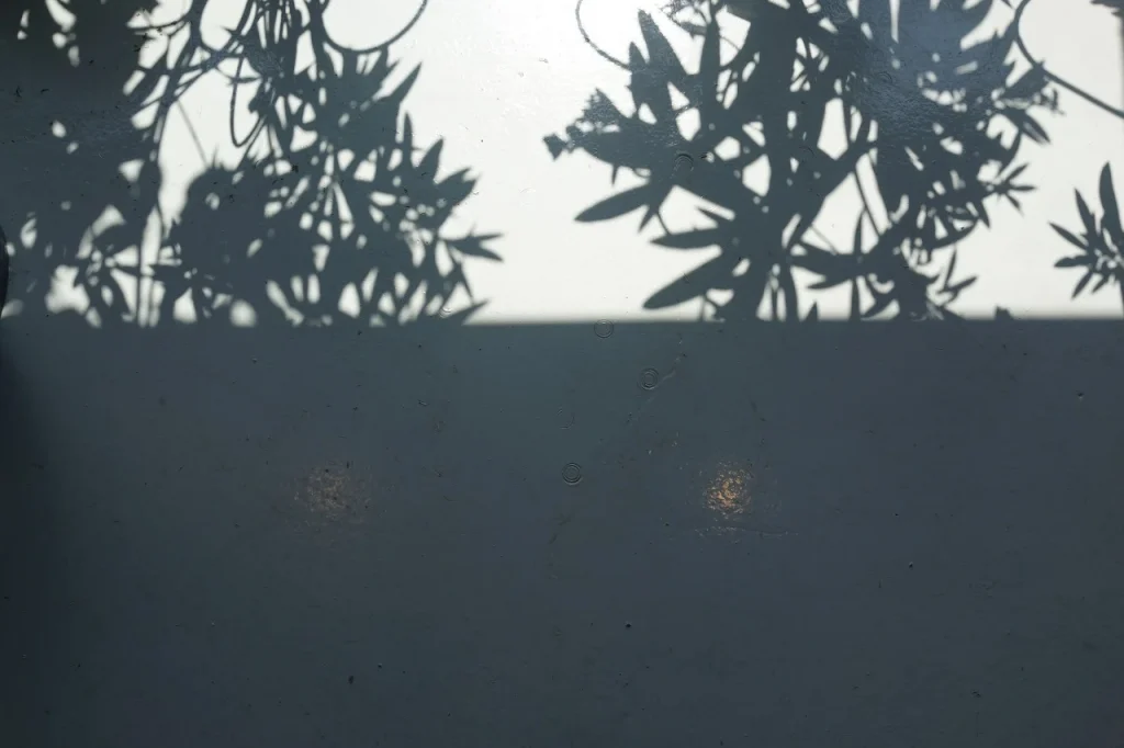 暑さにはこの歌